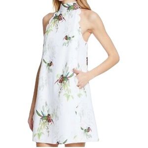 Ted Baker Toriat Tutti Frutti Scallop trimmed mini dress with bird print size 6